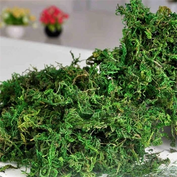 500 грама/пакет Запазва сухота истински зелен мъх декоративни растения, ваза изкуствена трева копринени Цветя и аксесоари за декорация на саксия
