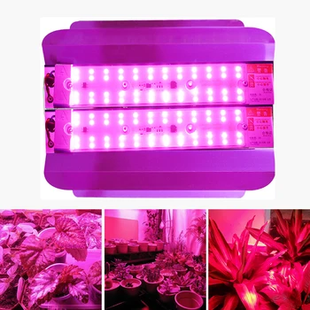 LED Лампа За Отглеждане на 50 w 100 W, Лампа За Оранжерии с Пълен Спектър, Лампа За Отглеждане на Лечебни Растения, Цветя, семена от зеленчуци